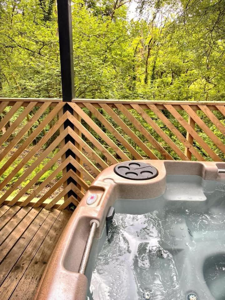 Goldcrest 3-Hot Tub-Woodland Lodges-Carmarthenshire-Tenby エクステリア 写真
